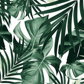 Summer leaves wallpaper