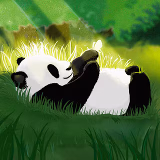 Summer panda wallpaper