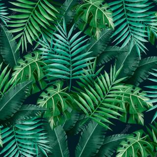 Summer leaves wallpaper