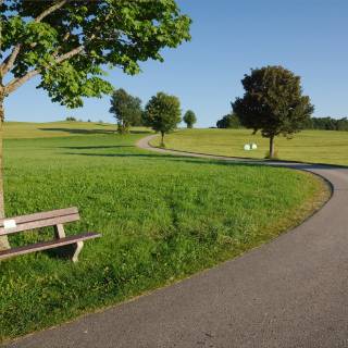 Summer street wallpaper