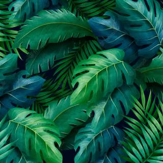 Summer leaves wallpaper