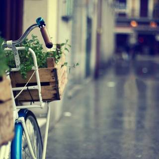 Summer street wallpaper