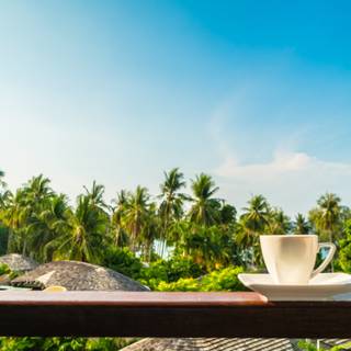 Good morning summer wallpaper