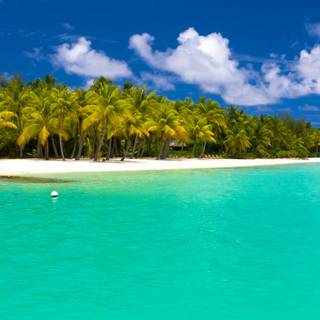 Summer 1366x768 wallpaper