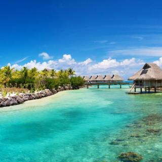 Summer 1366x768 wallpaper