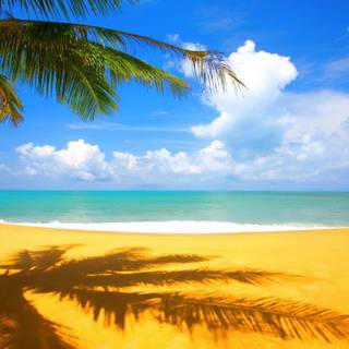 Summer 1366x768 wallpaper