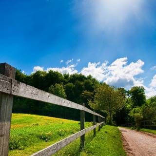 Summer 1366x768 wallpaper