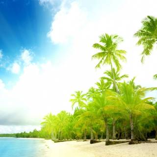 Summer 1366x768 wallpaper