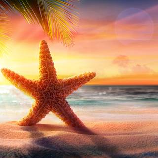 Summer 1366x768 wallpaper