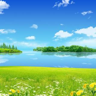 Summer 1366x768 wallpaper