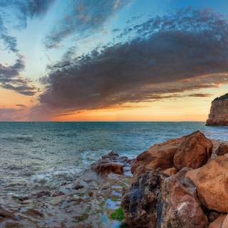 Good morning summer wallpaper