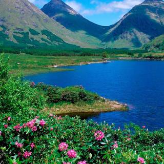 Summer 1366x768 wallpaper