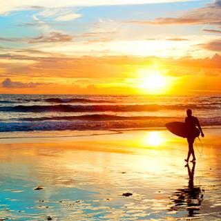 Good morning summer wallpaper