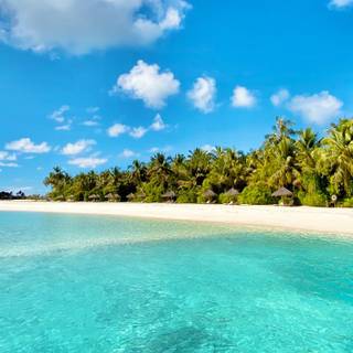 Summer 1366x768 wallpaper