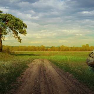 Summer 1366x768 wallpaper