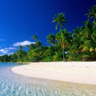 Summer 1366x768 wallpaper