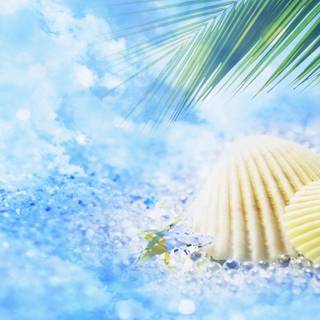 Summer 1366x768 wallpaper