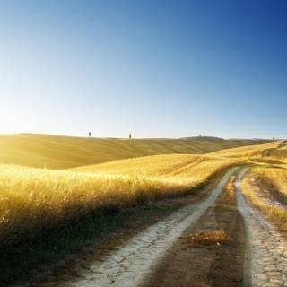 Summer 1366x768 wallpaper