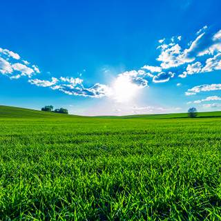 Summer 1366x768 wallpaper