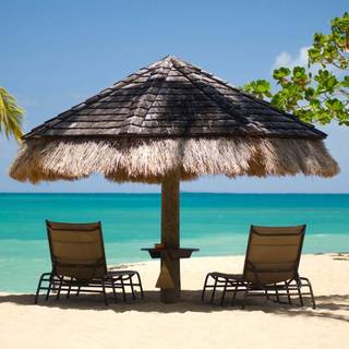 Summer 1366x768 wallpaper