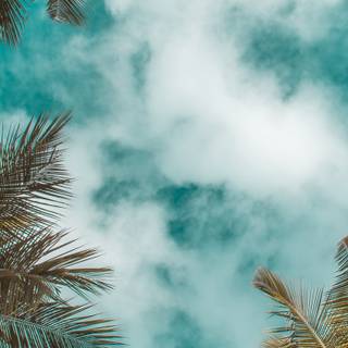 Summer 1366x768 wallpaper