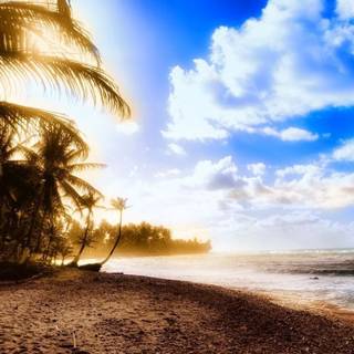 Summer 1366x768 wallpaper