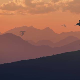 Game of Thrones 4k PC wallpaper