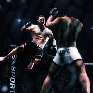 UFC computer wallpaper