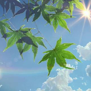 Sky summer wallpaper