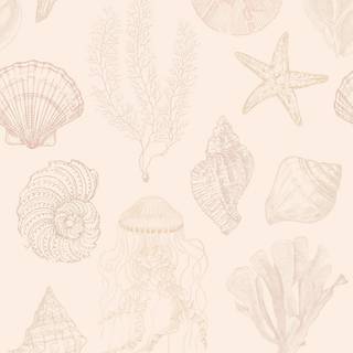 Summer seashell wallpaper