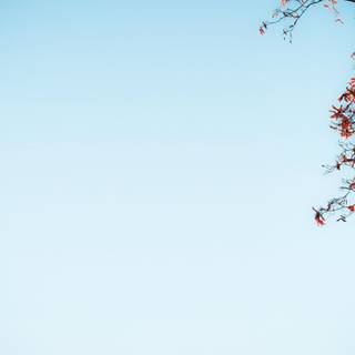 Blue sky 4k wallpaper