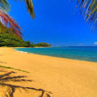 I love summer wallpaper