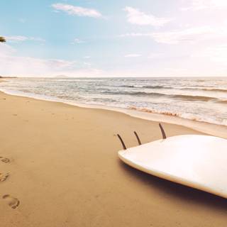 Summer surf wallpaper