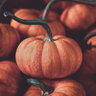 2560x1440 Halloween wallpaper