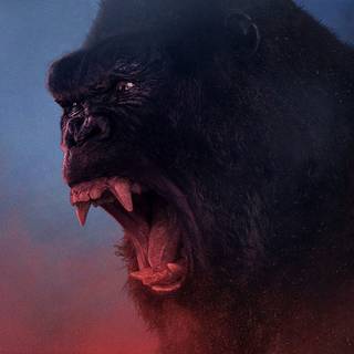 King Kong 4k wallpaper