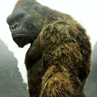 King Kong desktop wallpaper