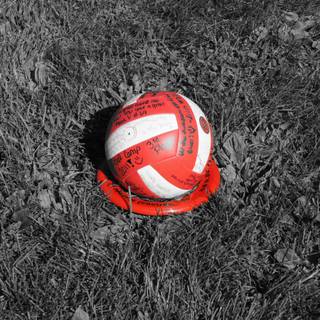 Volleyball 4k wallpaper