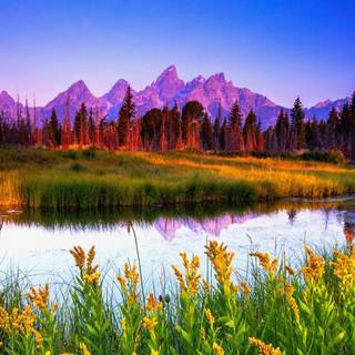 Sunrise summer wallpaper