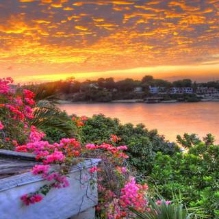 Sunrise summer wallpaper