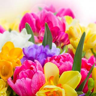 Spring 4k ultrawide wallpaper