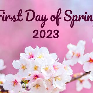 Happy spring time wallpaper