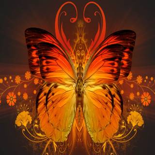 Fire butterfly wallpaper