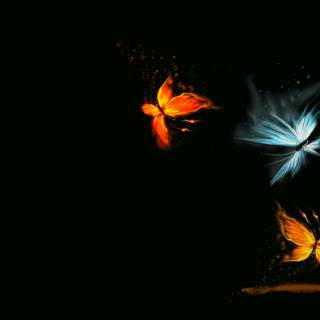 Fire butterfly wallpaper