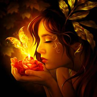 Fire butterfly wallpaper