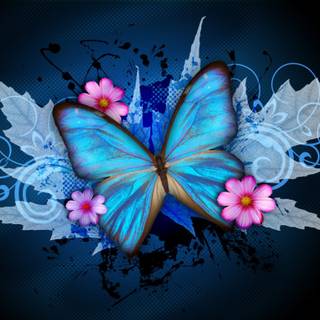 Fire butterfly wallpaper