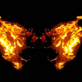 Fire butterfly wallpaper