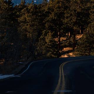 Dark nature PC wallpaper