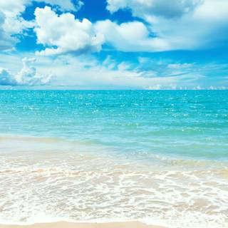 Cute beach summer wallpaper