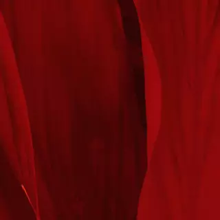 Red cloth wallpaper