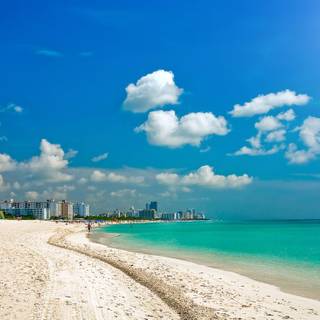 Miami summer wallpaper